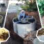 TreeWell Wastewater System