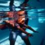 Baby & Toddler Swim Lessons