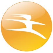 Flash Technology