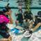 Padi-Pic