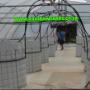 Mesh Dams