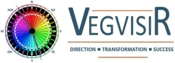 Vegvisir OD Learning and Development