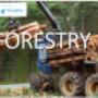 Forestry Filters