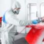 Auto-Painting