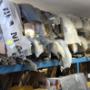 car-body-spares-roodepoort
