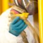 epoxi paint roodepoort