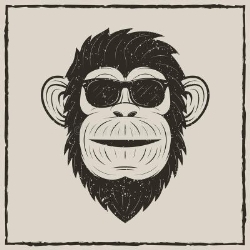 ApeDesigns