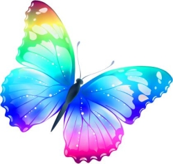 Butterfly Infant Care