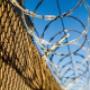 Concertina coils
