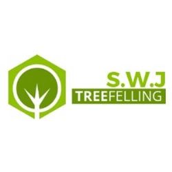 SWJ Treefelling