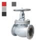 Globe Valve Neway valves
