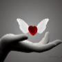 Uploaded by visitor on 2018/09/12 - psychic jovia....consultation fee; R200