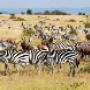 Serengeti Park
