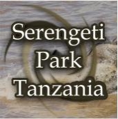 Serengeti National Park Safaris