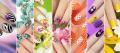 Nails and Nail Art