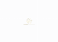 Gf Bridal Couture's website