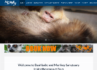 Monkey Sanctuary