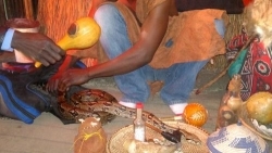 bunjo herbs international+27785656933