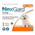 nexgard-for-small-dog