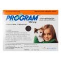 program plus