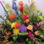Flower24