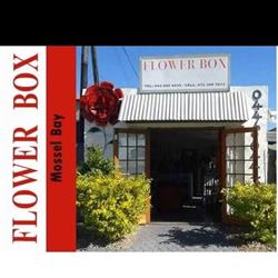 Flower Box