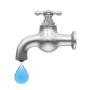 TAP