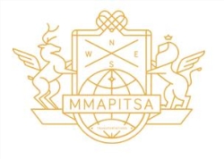 Mmapitsa Transport Solutions