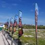 Flags - Primebraai