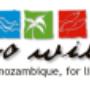 Logo Development - Go Wild