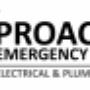 Logo Development - Proactive Emergency Services