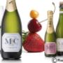Wine photography