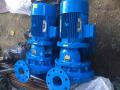 Hermann GX4300 Heavy duty Pump