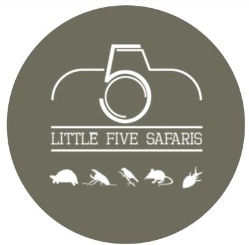 Little 5 Safaris