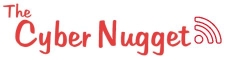 Cyber Nugget IT Services