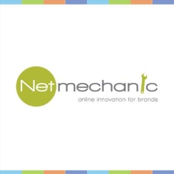 NetMechanic