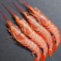 Seafood-Prawns-Fish Shop-Cape Town-Cape-Fish-Salmon-Trout-Fresh-Fish-For-Sale-Seafood-Fish-Wholesale