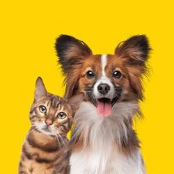 Montana Park Animal Hospital CC