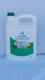 Meltrema Dishwashing Liquid