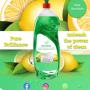 meltrema Dishwashing Liquid