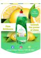 Dishwashing Liquid