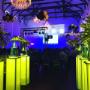 wedding/fucntion