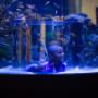 The Two Oceans Aquarium at the VA Waterfront