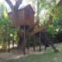 Tree House
