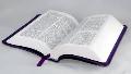 Bachelor's Degree in Theology