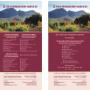 TIES Immigration Brochure