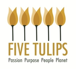 Five Tulips