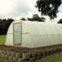 6m Eco Tunnels Greenhouse