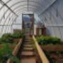 Eco Tunnels Greenhouse Inside