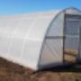 Eco Tunnels Greenhouses2